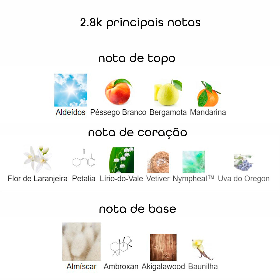 2.8K Eau de Parfum - 100ml -  Beleza2 Perfumes